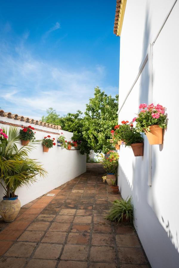 Hostal Cabo Roche كونيل ذي لا فرونتيرا المظهر الخارجي الصورة