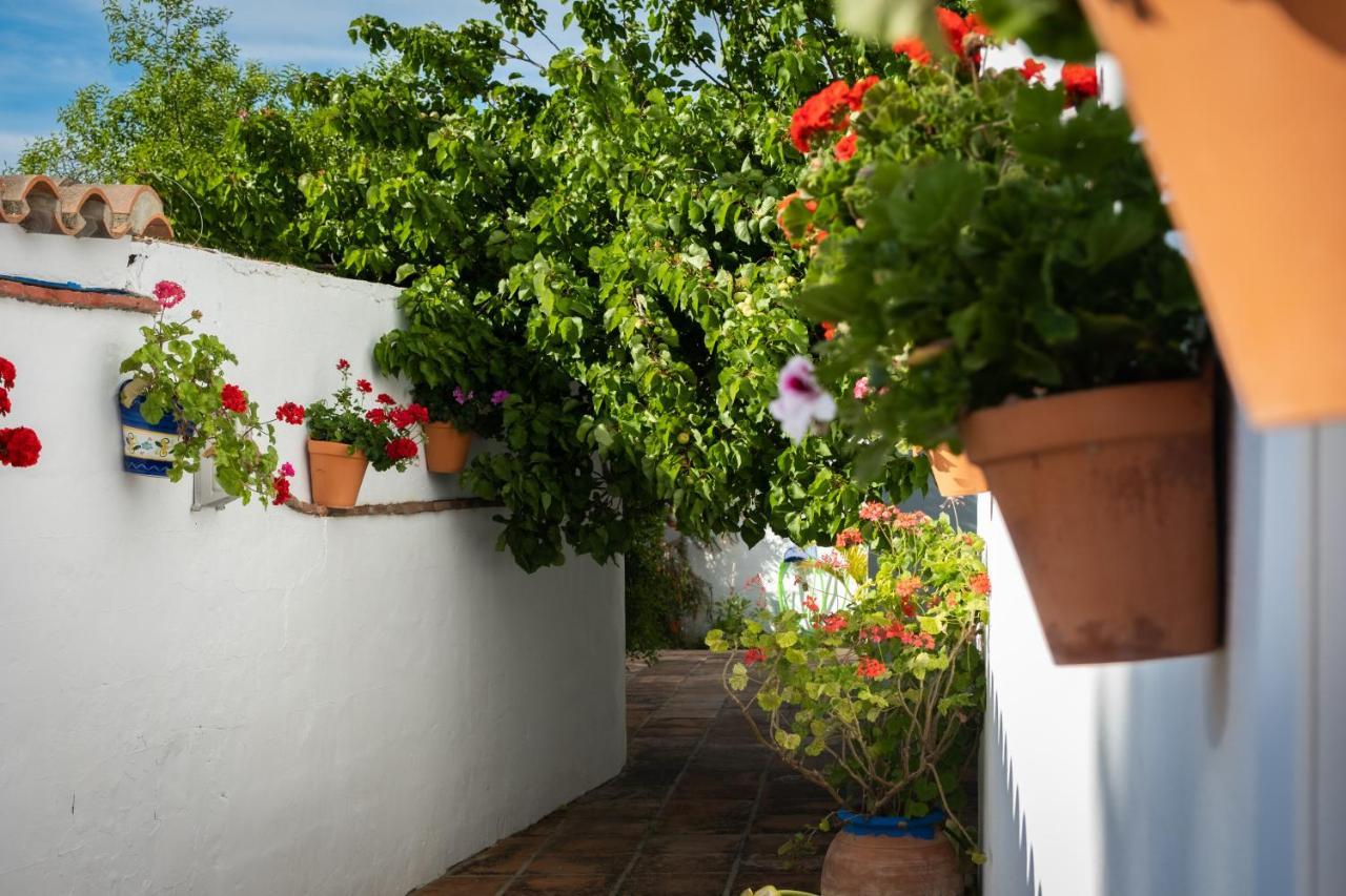 Hostal Cabo Roche كونيل ذي لا فرونتيرا المظهر الخارجي الصورة